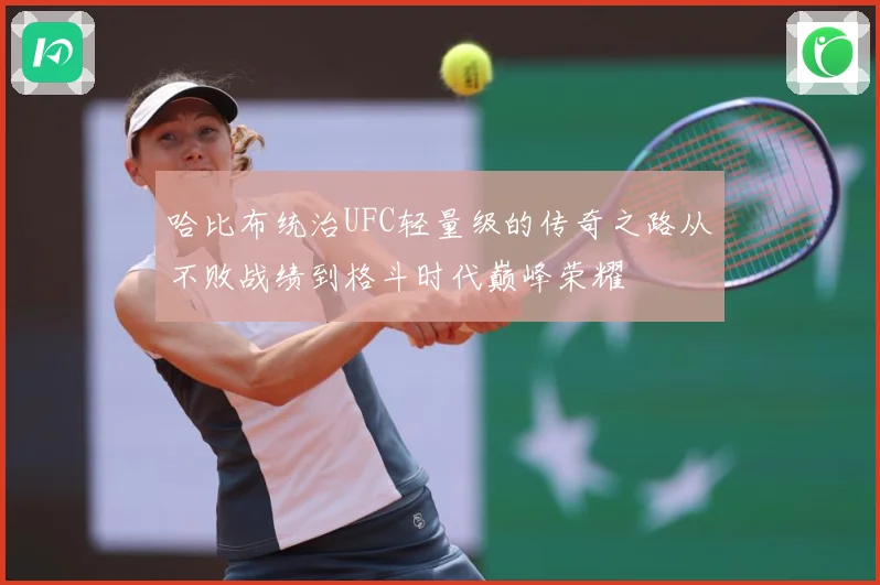 哈比布统治UFC轻量级的传奇之路从不败战绩到格斗时代巅峰荣耀