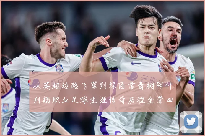 从英超边路飞翼到绿茵常青树阿什利扬职业足球生涯传奇历程全景回顾