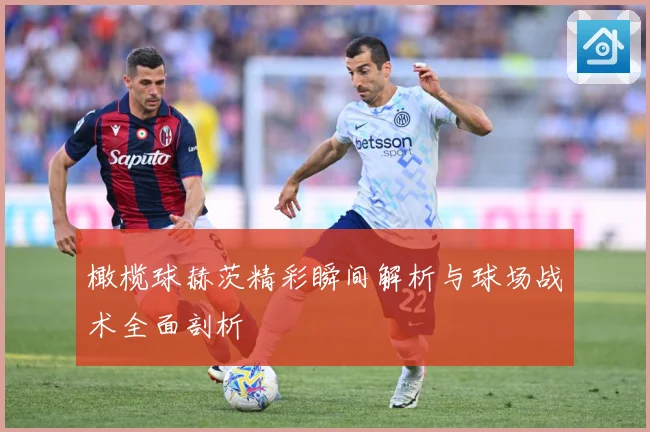 橄榄球赫茨精彩瞬间解析与球场战术全面剖析